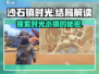 沙石镇时光💥结局大揭秘！游戏粉必看👇