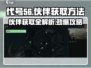 代号56🔥伙伴获取全攻略，轻松搞定游戏王者！🎮