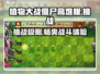 植物大战僵尸高难版💥挑战极限，玩就对了！
