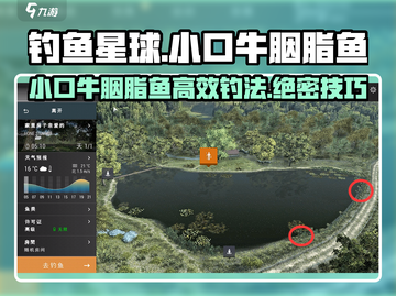 钓鱼星球✨小口牛胭脂鱼高效钓法🔥一学就会！截图1