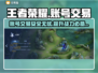 王者新号交易平台🔥助你轻松找到靠谱游戏账号！🎮