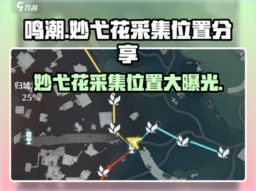 鸣潮游戏玩家必看！妙弋花采集位置大曝光🔥截图1