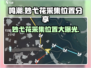 鸣潮游戏玩家必看！妙弋花采集位置大曝光🔥