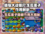 植物大战僵尸：生瓜蛋子竟是隐藏大杀器！💥游戏技巧大公开