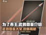 为了吾王🔥武器图鉴大揭秘！💎