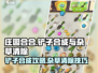 庄园合合铲子合成攻略🔥杂草清理神器✨