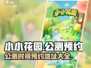 小小花园公测时间🔥预约地址大曝光！🎮