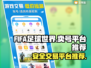 FIFA足球世界🔥账号交易平台推荐👇