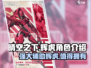 晴空之下🔥辉虎角色超详细解析来啦！🎮