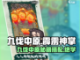 九伐中原🔥霹雳神掌秘籍搭配超详细攻略🎉