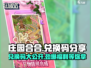 庄园合合💥兑换码大公开！🎉免费领取不容错过✨