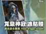 龙息神寂冰骷髅🔥超强攻略⚡游戏党必看！