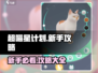 超喵星计划💥新手必看！全流程攻略-cat-