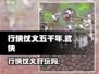 行侠仗义五千年🔥：超好玩游戏等你来战！