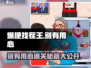 爆梗找茬王别有用心🔥通关秘籍大公开！游戏技巧全在这👇