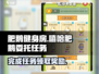 肥鹅健身房🔥《嘻哈肥鹅的委托任务》完成秘籍🎮