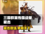 三国群英传国战版🔥豪杰超强攻略🌟