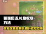 猫咪和汤礼物攻略🎁，收取礼物方法大公开！