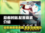 🔥忍者时刻配置要求大曝光！玩游戏必备✅