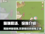 猫咪和汤设施大起底！游戏党必看🔥🎮