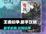 王者纷争💥新手必看！轻松上分秘籍🎉