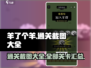 羊了个羊通关秘籍🔥全部关卡截图大公开！