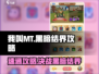 我叫MT黑暗结界🔥速通秘籍，经典再现！