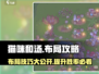 猫咪和汤布局🔥超详细攻略分享！👇