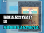 猫咪竟是汤燕尾最佳拍档？🔥《汤猫配对秘籍》来了！