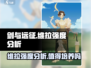 剑与远征🔥维拉强度爆表，值得培养的秘密武器！