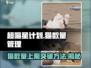 超喵星计划💥猫数量达上限怎么办？游戏技巧大公开！