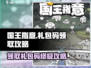 《国王指意》🎁礼包码大放送！2023最新领取攻略🔥