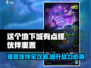 这个地下城有点怪🔥伙伴重置攻略来啦！🎮