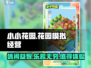 小小花园⭐测评：好玩到停不下来！🎮