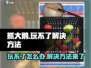 抓大鹅🔥玩不了？解决方法在这里！🎮