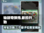 仙剑奇侠传：三个罐子位置大曝光！🔥快来看看在哪👇