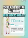 炽焰天穹🔥大岛四叶草实力超神不容错过！