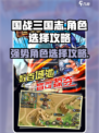 国战三国志攻略大全介绍