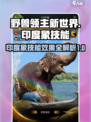 野兽领主新世界印度象技能有哪些介绍