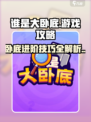 谁是大卧底攻略分享介绍