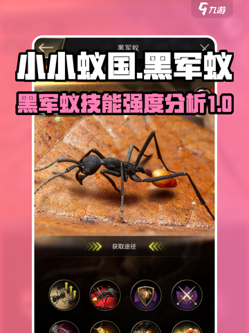 小小蚁国黑军蚁好不好介绍截图1