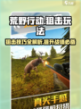 荒野狙击玩法是什么介绍