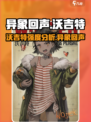 异象回声沃吉特怎么样介绍