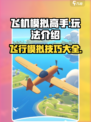 飞机模拟高手攻略介绍