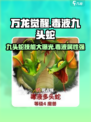 万龙觉醒🔥毒液九头蛇技能大曝光，这样打轻松取胜！