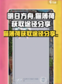 花与香水与猫猫薄荷在哪买介绍