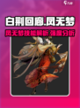 白荆回廊凤无梦怎么样介绍