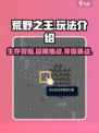 荒野之王好玩吗介绍