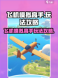 飞机模拟高手攻略介绍