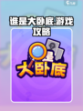 谁是大卧底攻略分享介绍